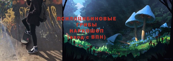 тгк Абинск