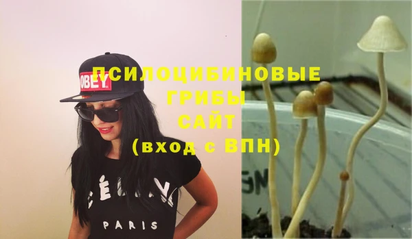 тгк Абинск