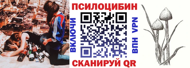 Псилоцибиновые грибы Psilocybe  Зарайск 